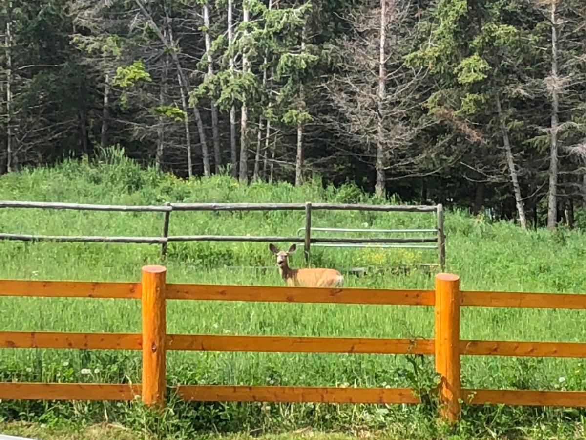 Beaver Guest Ranch Bridge Lake Exterior photo